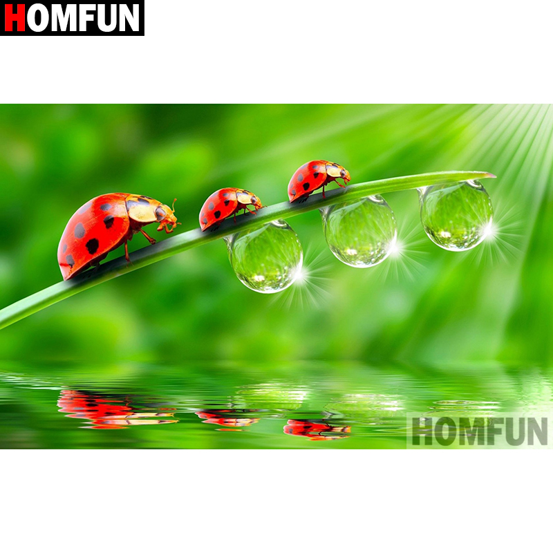 HOMFUN – peinture diamant thèm - Embroidery Lady Bug avis et prix